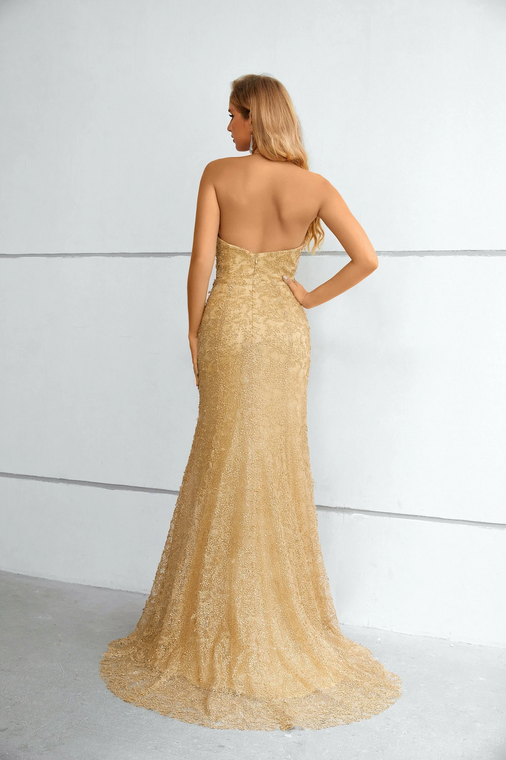 Champagne Halter Sleeveless Lace Mermaid Prom Dresses